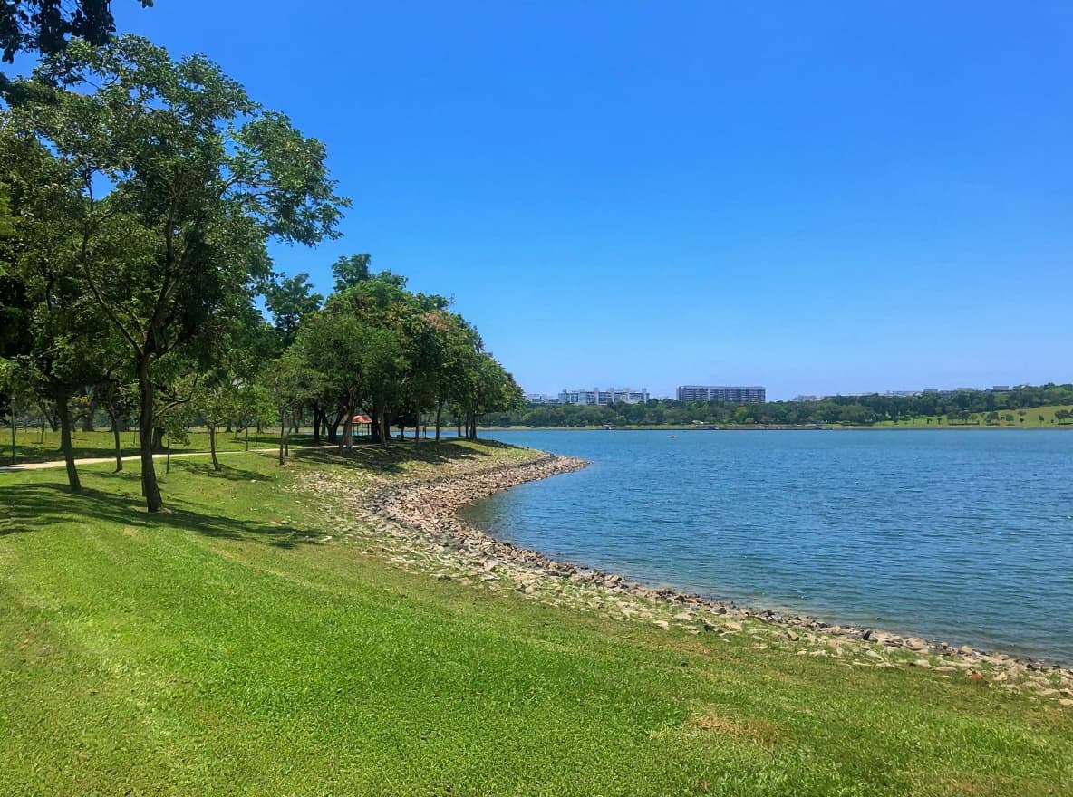 Grass, trees and rocky shoreline along the north-eastern edge of Bedok Reservoir in Singapore